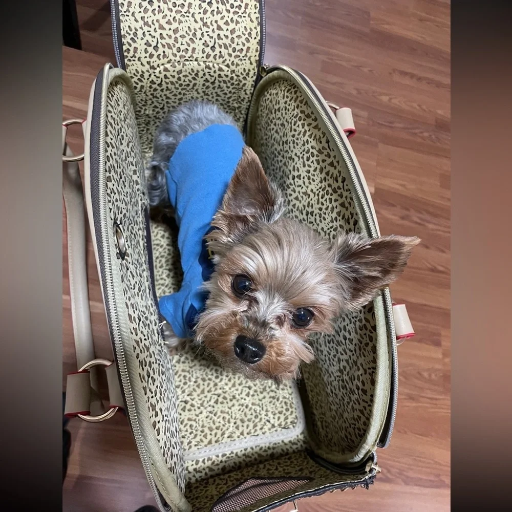 Luxury Pet Carrier, Small Dog Carrier